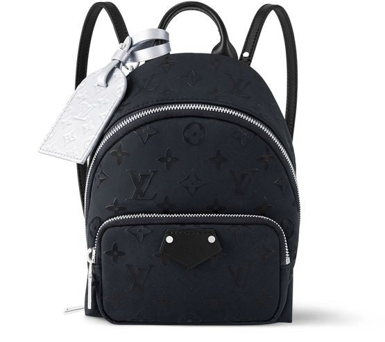 LOUIS VUITTON Palm Spring Mini - Image 1
