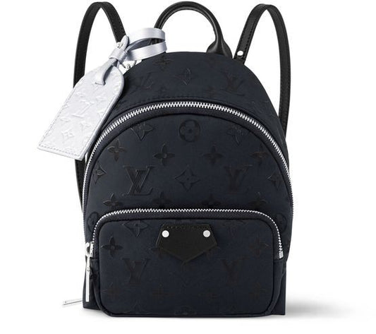 LOUIS VUITTON Palm Spring Mini - Image 1