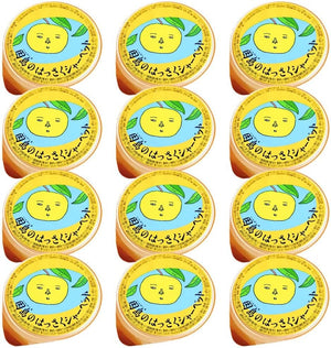 Hiroshima Confectionery Innoshima Hassaku Sorbet 2.6 oz (75 g), Set of 12 tau, Hiroshima Prefecture, Hachisaku Sherbet, Popular Item, Souvenir
