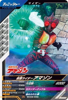 SC06-058 Kamen Rider R