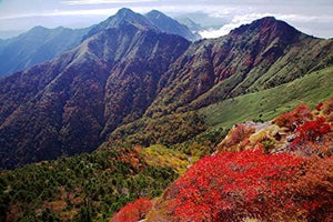 【日本の風景／地名のポストカード】愛媛県石鎚山 赤い紅葉と連なる稜線の大眺望 はがき お土産 ハガキ 撮影/絶景.com