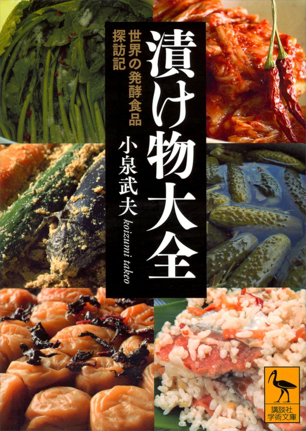 漬け物大全　世界の発酵食品探訪記 (講談社学術文庫)