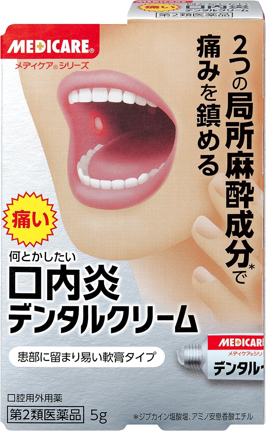 【第2類医薬品】デンタルクリーム 5g