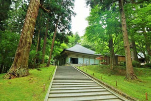 【日本の風景ポストカード】岩手県平泉町 中尊寺 木漏れ日の石段 はがき お土産 ハガキ 撮影/YOSHIO IWASAWA