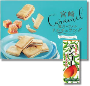 Hinatsu Hogaya Miyazaki Salt Caramel Dolce Lang 12 pieces [TK Original Package]