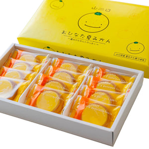 Summer Orange Onita, Yamaguchi Prefecture Limited Edition Summer Mandarin Cookies (12 Pieces), Yamaguchi Prefecture Hagi Summer Mandarin Tart Cookies, Gift, Individually Packaged, Sweets, Souvenir, Souvenir, Gift, New Year's Day