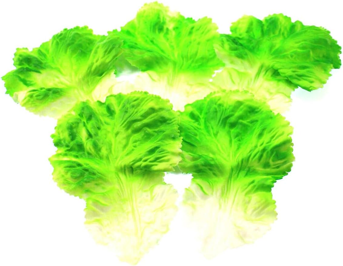 Speed mao Lifelike Sunny Lettuce, Green Vegetables, Food Sample, Model, Set of 5