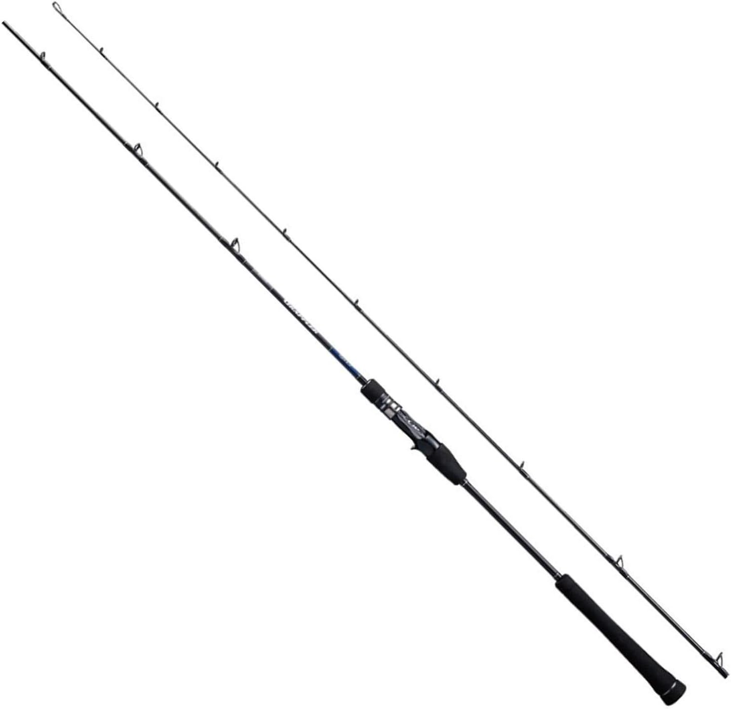 シマノ(SHIMANO) ライトジギング 19 グラップラー タイプL J 各種 スピニング/ベイト