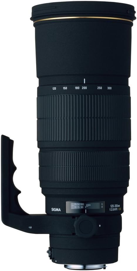 シグマ 120-300mm F2.8 APO EX DG HSM キヤノン用