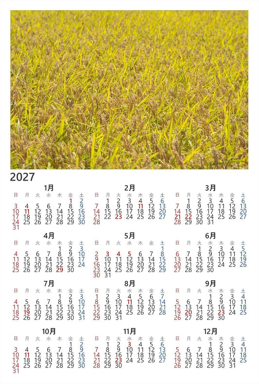 【2027年カレンダー】【日本風景ポストカード】山口県 稲穂 photo by daikegoroフォトカードお土産に４
