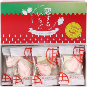 Shizuku Love Strawberries Red Box 10 Pieces in Red Box x 2