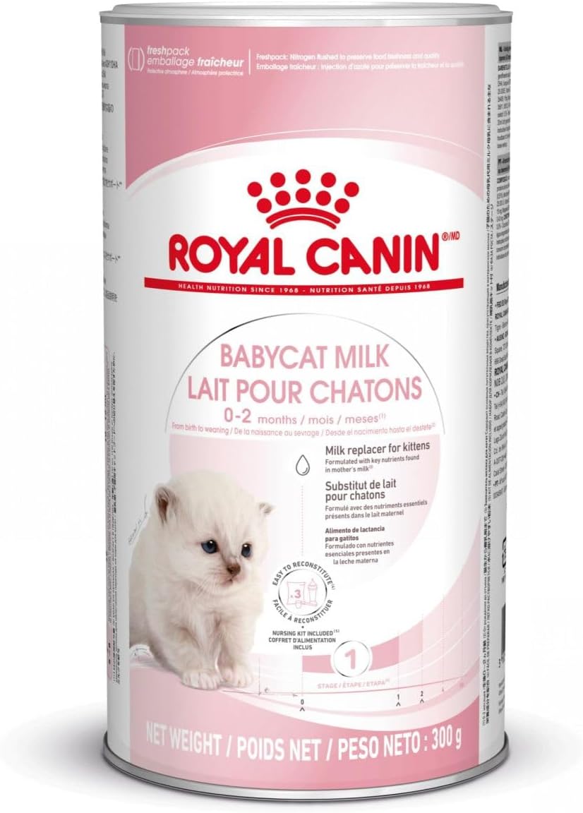 Royal Canin FHN Baby Cat Milk, 10.6 oz (300 g)