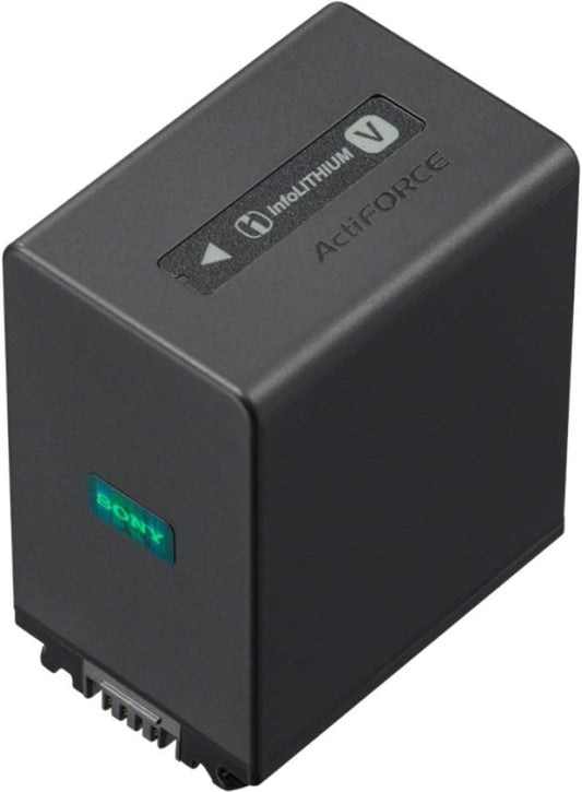 Sony Camcorder Battery Rechargeable Battery Pack NP-FV100A for FDR-AX45A/HDR-CX680