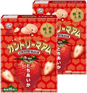 Set of 2 Boxes: Country Maum, Tochigi Souvenirs, 16 Pieces