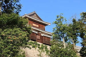 【日本の風景／愛媛のポストカード】愛媛県松山市松山城の石垣の上にそびえる木造の櫓と生い茂る青葉 はがき お土産 ハガキ 撮影/MIRO