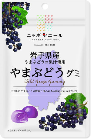 Montoir Zenno Iwate Prefecture Mountain Grape Gummy, 1.4 oz (40 g) x 10 Bags