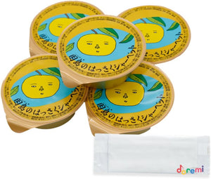 Doremi Original Set Hasaku Sherbet, Made in Inshima 2.6 oz (75 g) x 5 Packs, For Guests, Home Use, Made in Hiroshima