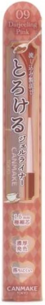 Canmake Creamy Touch Liner 09 Darjeelin Pink | Ultra Fine Gel Eyeliner for Adult Pink See-Through Lines