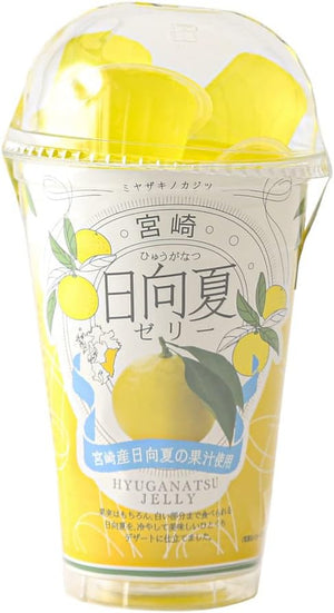 Yutaka Shokai Hinata Summer Portion Jelly, 0.8 oz (22 g) x 12 Packs