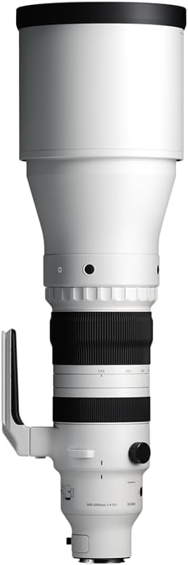 Sigma 300-600mm f/4 DG OS スポーツレンズ Lマウントミラーレスカメラ用