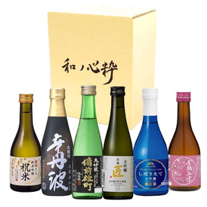 Wano Kokoro Ichi: Japan's Finest Sake from Nada, Fushimi - A Taste Comparison Set [Japanese Sake from Hyogo Prefecture, 300ml×6 bottles]'