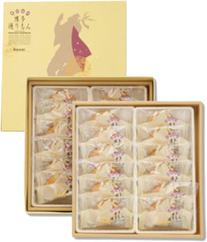 Hakata Dorimon 24 Pieces (1 Box) Kyushu Mika Fukuoka Souvenir Hakata Western Japanese Sweets