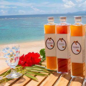 Assorted Fruit Juice & Andagi from Kagoshima Prefecture, Mango Guava, 12 Pieces x 3 Bags, Assorted, Osmi Oshima, Plain, Mongo, Cocoa, Brown Sugar, Ethnic Sweets, Snacks, Kagoshima Prefecture, Local