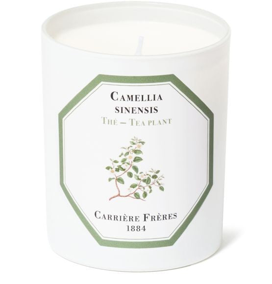 CARRIERE FRERES フレグランスキャンドル テ - カメリア・シネンシス 185 g - Image 1