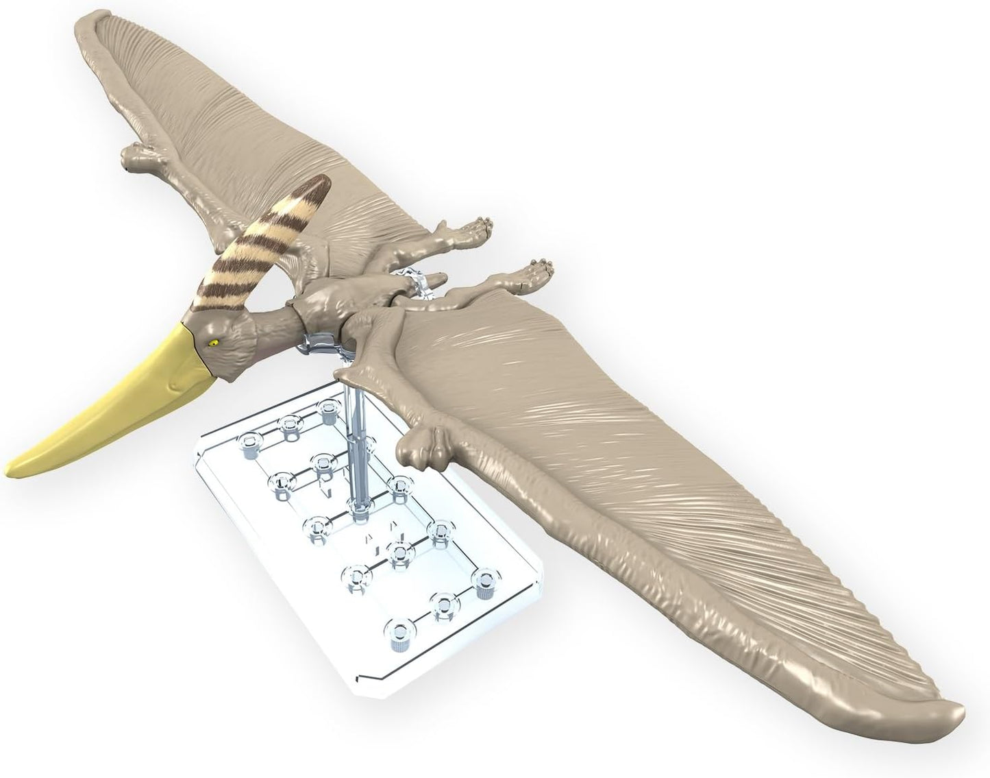 Bandai Spirits Planosaurus Pteranodon Color Coded Plastic Model