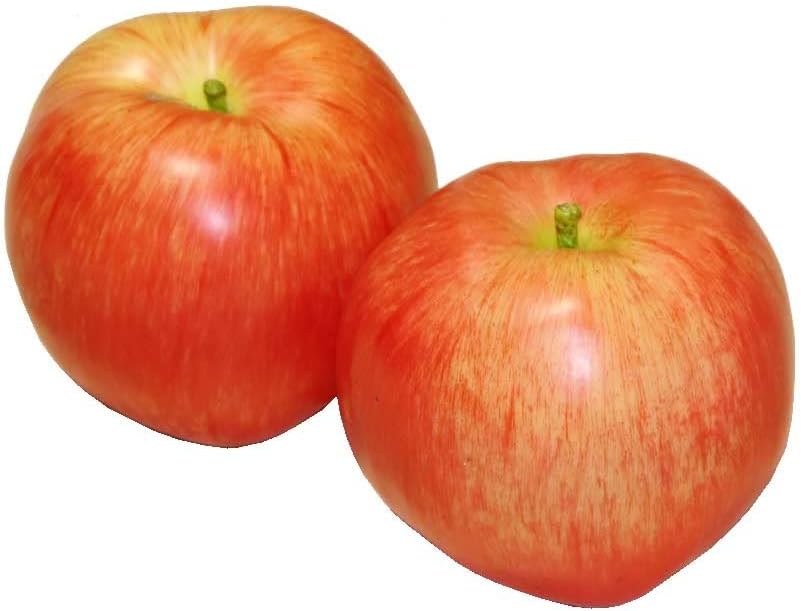 Set of 2 Realistic Apples Food Sample Fruit Model (Large)