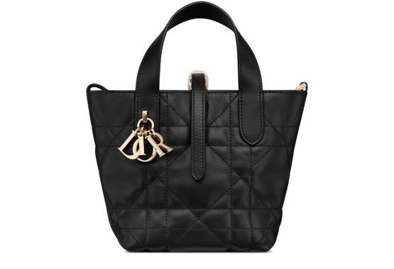 Dior Toujours Vertical Nano Tote Bag - Image 1