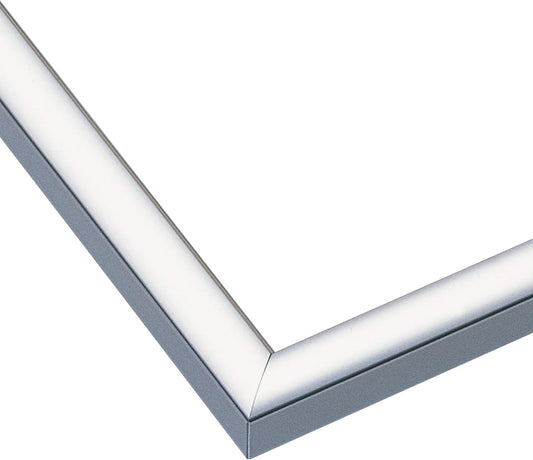 EPOCH Panel Max Aluminum Puzzle Frame, Silver, Made in Japan, 20.1 x 28.9 Inches (51 x 73.5 cm), Panel No. 10-T, Hanging Cord and Points Certificate Included, Cell Cover with UV Protection