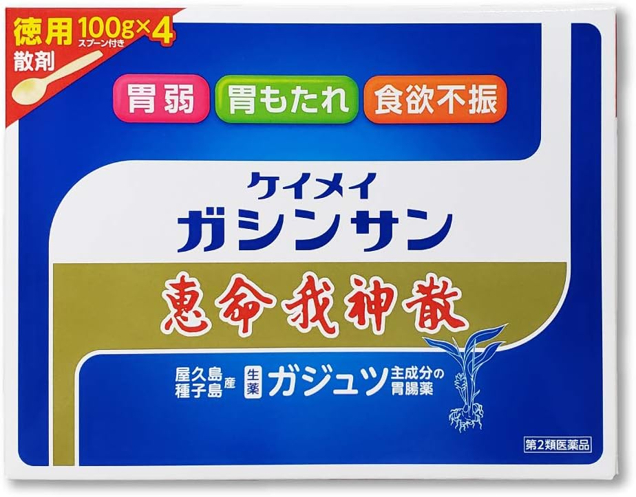 【第2類医薬品】恵命我神散 100g×4包入