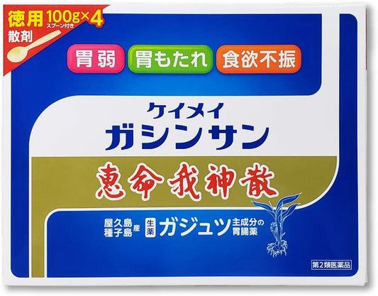 【第2類医薬品】恵命我神散 100g×4包入