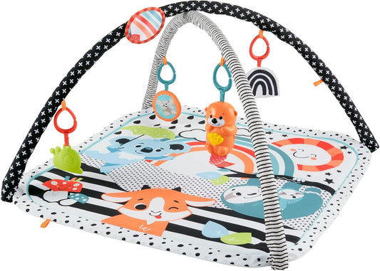 Fisher Price HBP41 "Let's Cultivate Your Feeling!" Sea Otter Waku Musical Gym [Birth (0 Months)]