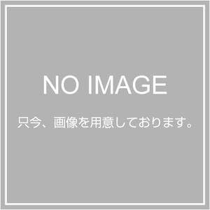 PENTAX Binoculars Case for Papilio 69639