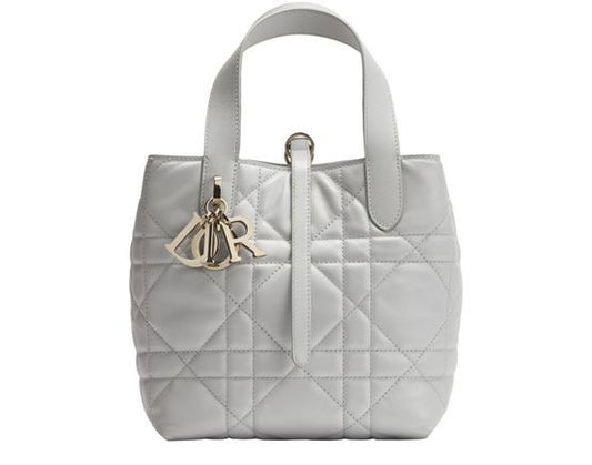 Small Dior Toujours Vertical Tote Bag - Image 1