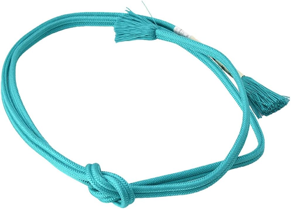 Nagomiya Woven Banding, Made in Japan, Pure Silk Obi Fastening, Plain Vivid, Regular Scale, Traditional Crafts, Kyoto Braid, Loose, Stranded Tassel