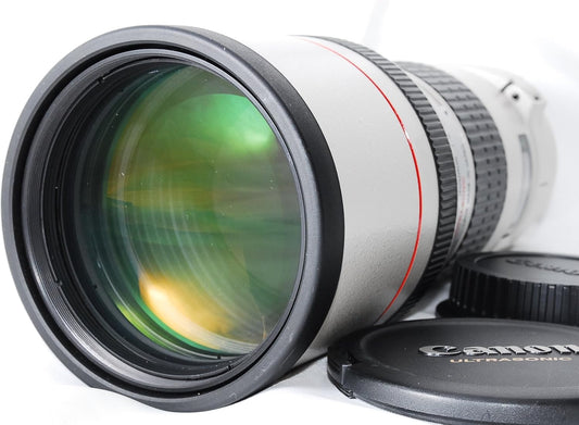 Canon EF 300 mm F4 L USM