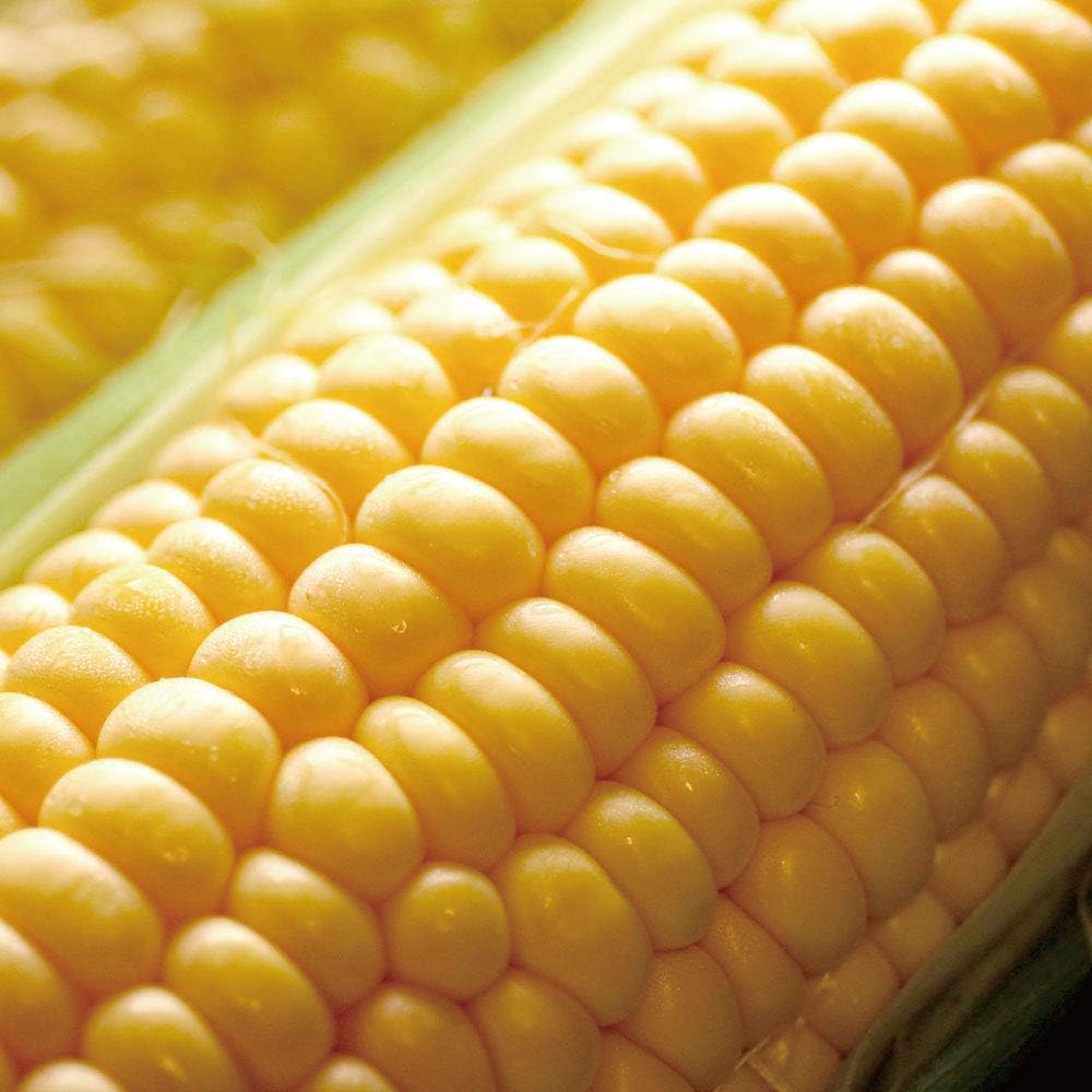 Corn, Hokkaido, Gold Rush, 6.6 gal (2 L), Size x 10, Morning Harvesting, Sweet Corn, Hokkaido, Corn, and Shrimps