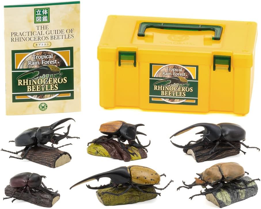 カロラータ 立体図鑑 カブトムシ フィギュア (6種 / 解説書付き) リアル おもちゃ (知育玩具) 誕生日 ギフト プレゼント (食品衛生法クリア) ライナセラスビートル/リアルフィギュアボックス 模型/クリスマス クリスマスプレゼント