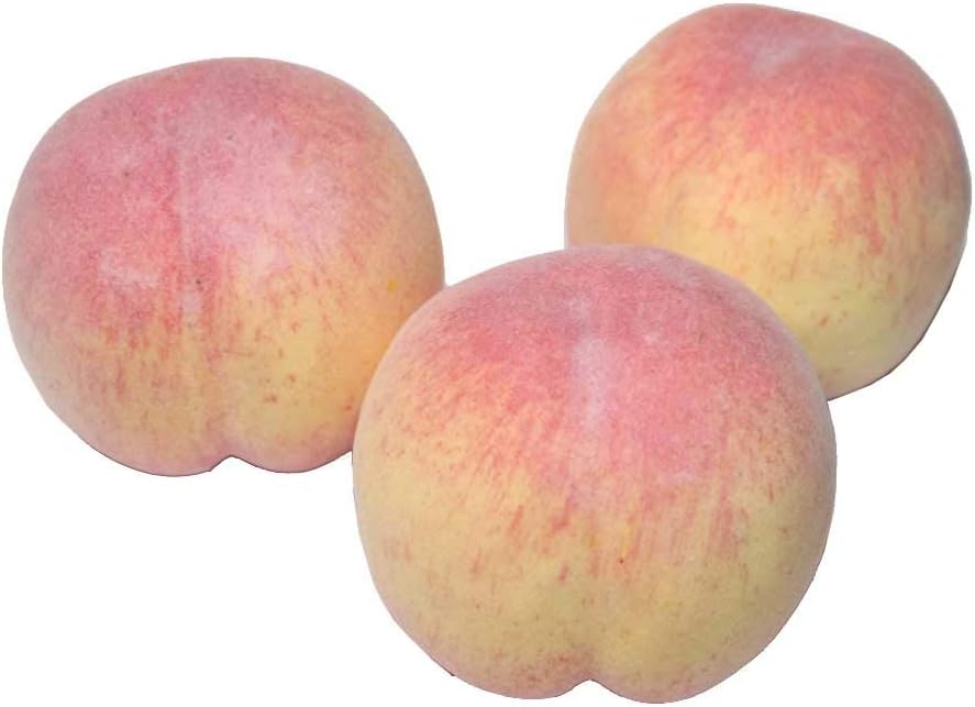 Peach Lifelike Model Set of 3 Food Sample Fruit Model (UP)