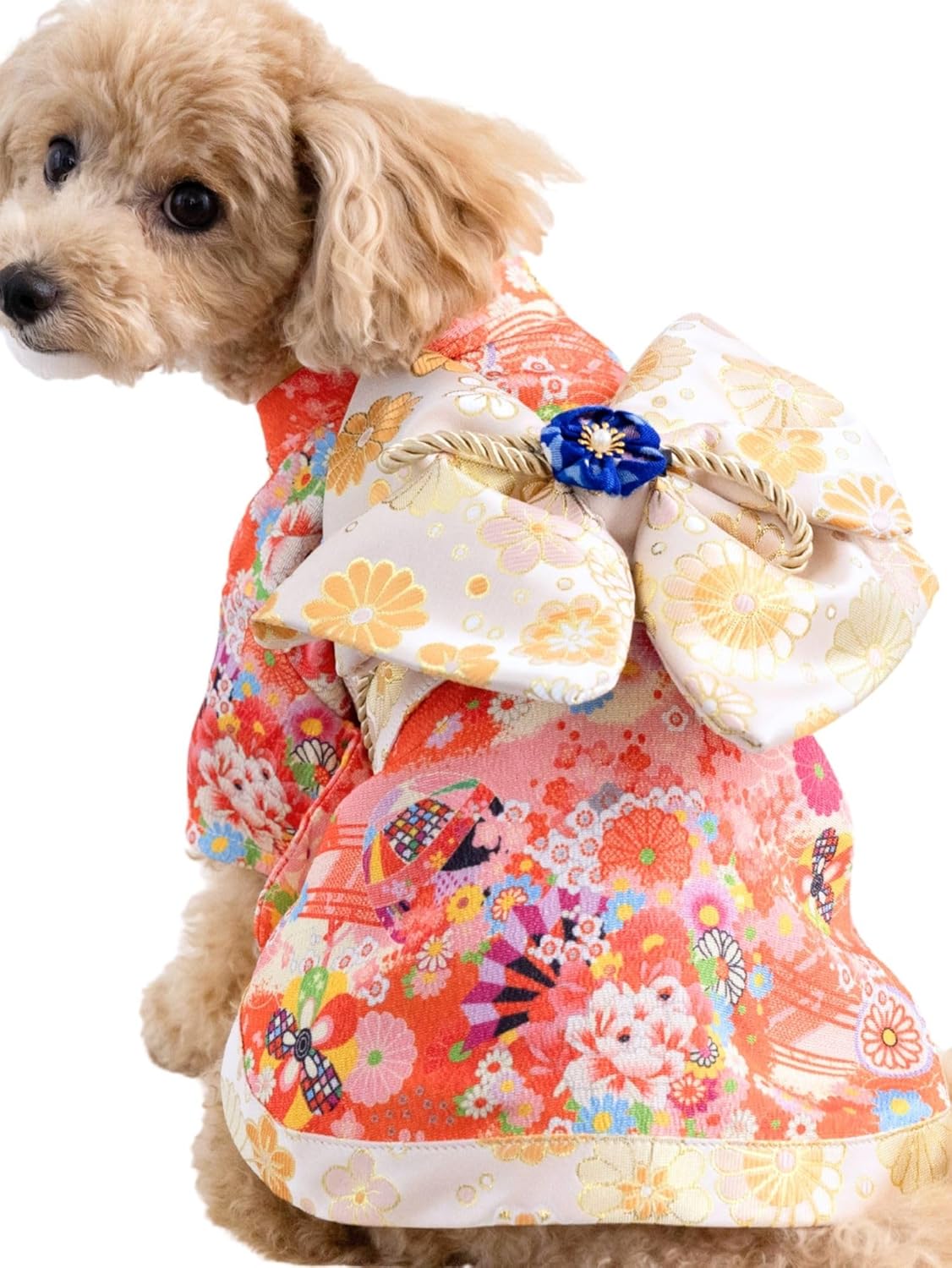 ONEKOSAMA OINUSAMA Dog Clothes Cat Cat Cat Kimono Kimono Kimono Dog Wear Festival New Year New Year Shichi-Go-San Small Dog Large Dog Small Large Size [Blue/XS]