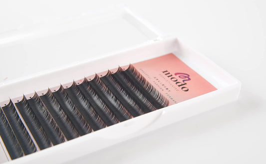 MODO LASH Sable 12 Row False Eyelash Extensions C Curl 0.15 Thickness (11mm)