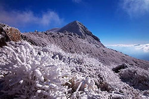 【日本の風景／地名のポストカード】大分県竹田市 厳冬の久住山と霧氷の斜面 はがき お土産 ハガキ 撮影/絶景.com