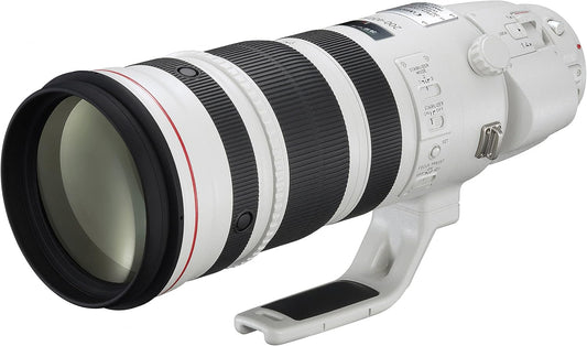 Canon EF 200-400mm f/4L IS USM Extender 1.4x