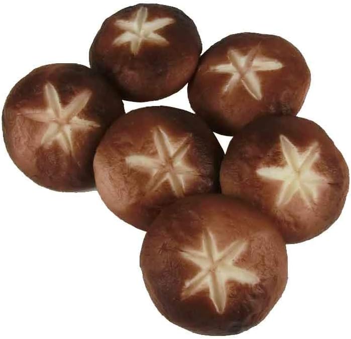 Shiitake Model Shiitake Mushroom 6 Pack Food Sample Vegetable Model