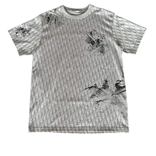 DIOR X DANIEL ARSHAM 'ERODED OBLIQUE' GREY TEE