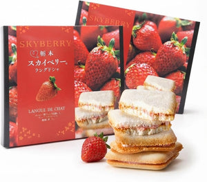 栃木スカイベリーラングドシャ 10個入×2箱
