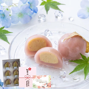 【Sweets Grand Prix Award Winner】Year-end Gift New Year Gift Ryoheidou Chestnut Kinton Water Manjuu Gift (6 pieces) Premium Japanese Confectionery Water Manjuu Souvenir Sweets Japanese Chestnuts